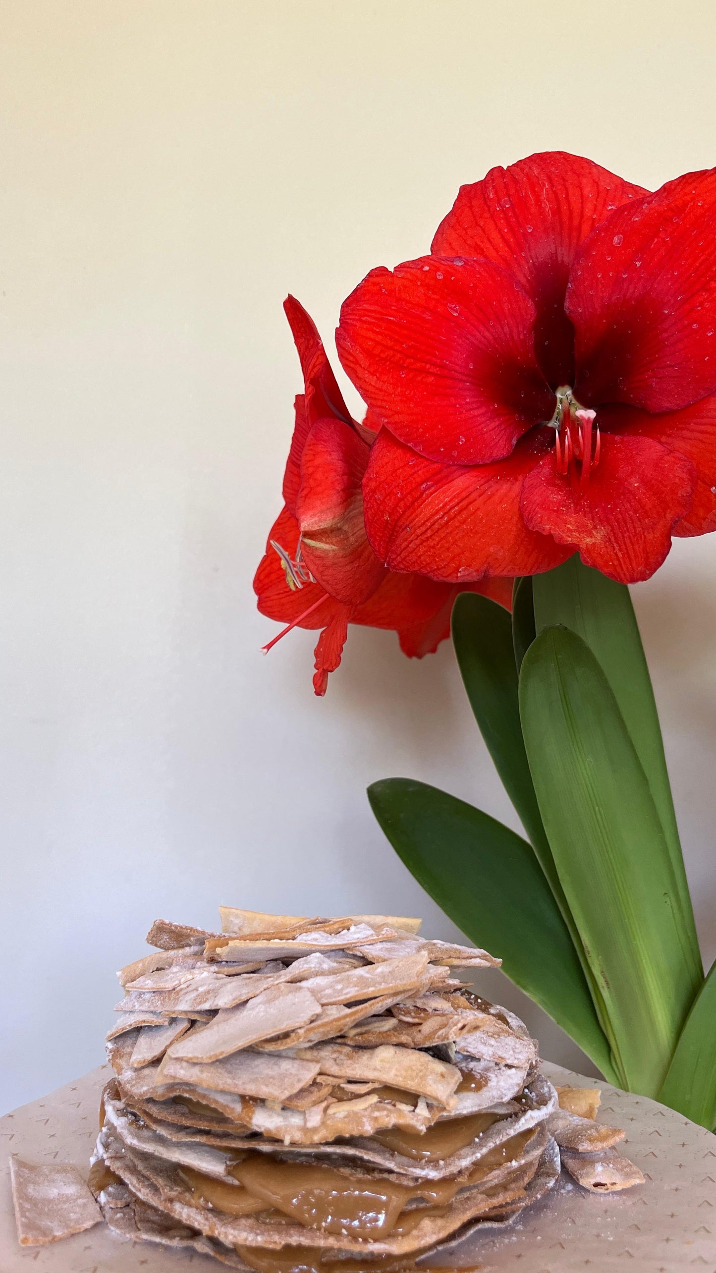 PACK 14 Febrero - Adelina & Las Liras Flores