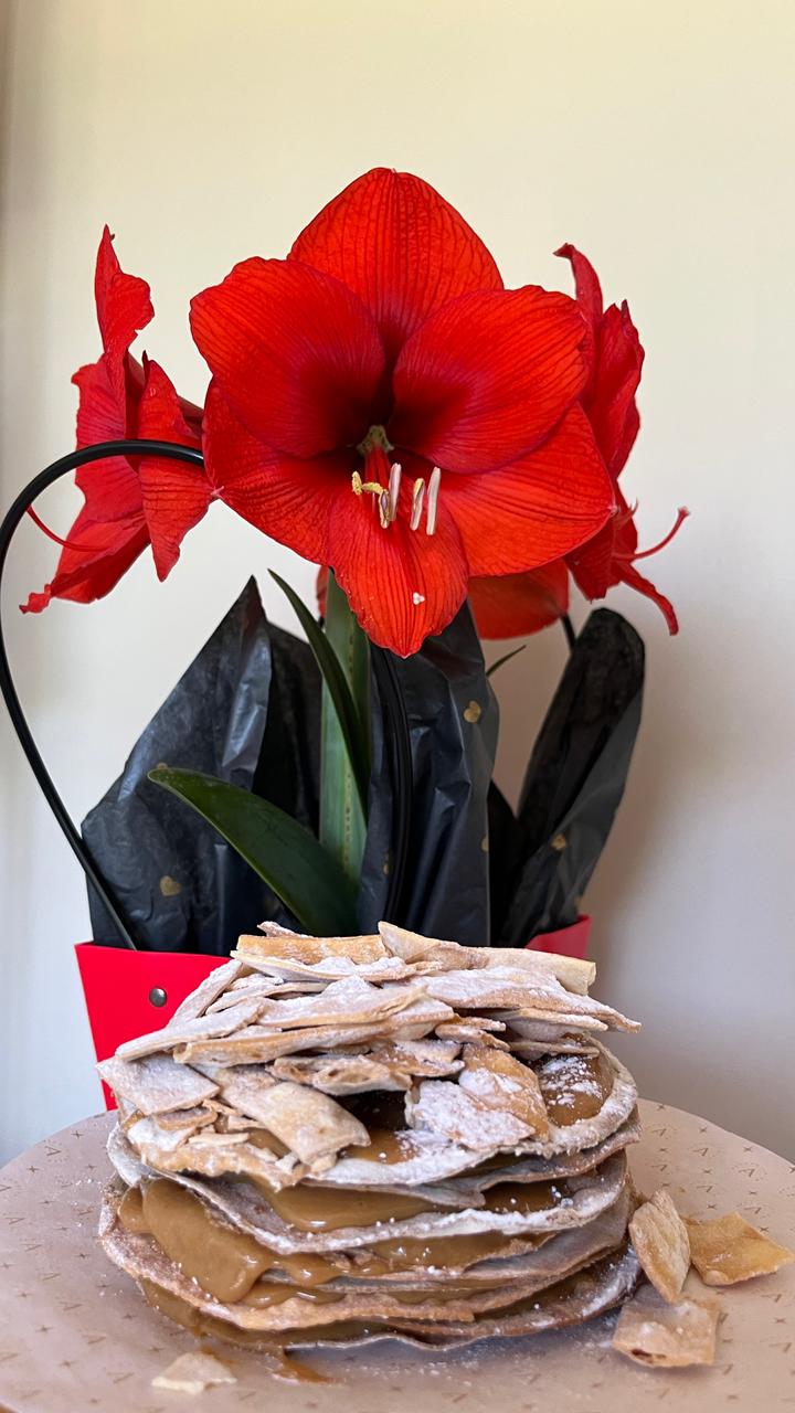 PACK 14 Febrero - Adelina & Las Liras Flores