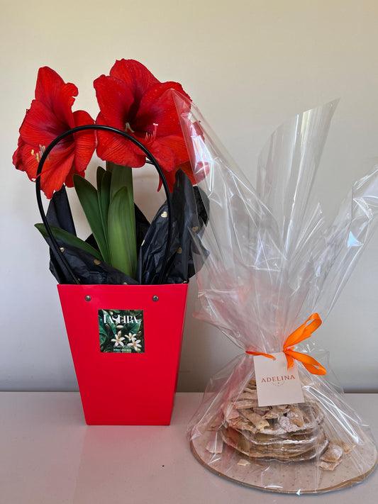 PACK 14 Febrero - Adelina & Las Liras Flores